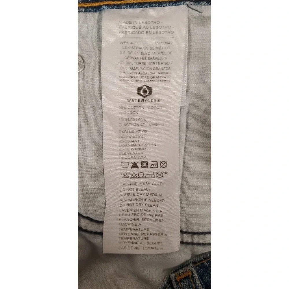 Levis levi strauss